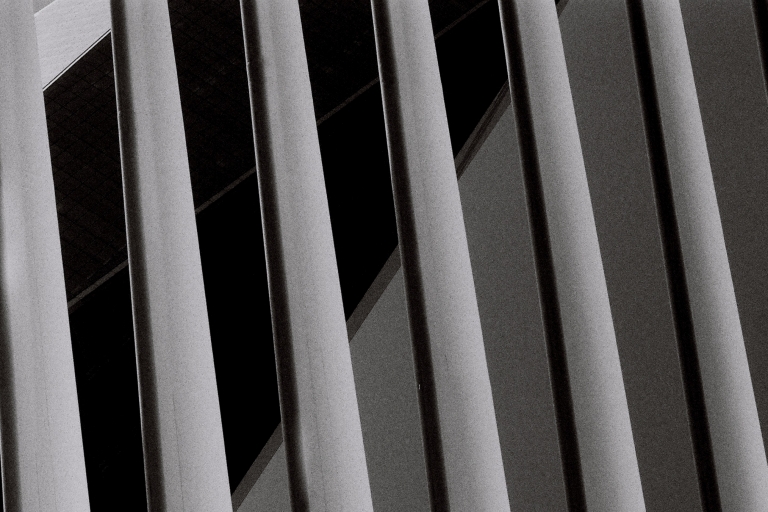 Foto por José R. Sánchez-Fung.